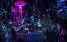 Big summer for Disney parks: Pandora and Guardians of Galaxy 