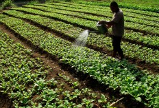 Govt invites businesses to explore potential in poor areas