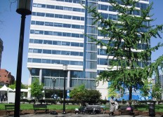 World Bank ready to expand cooperation with China-led AIIB