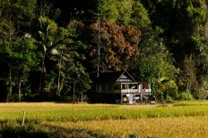 Award-winning Wonderful Indonesia video on display at Soekarno-Hatta airport