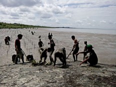 Indonesia tries to adapt to coastal erosion