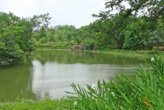 Taipei guide: Four places where fireflies light up the night sky