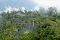 Agrarian activist sentenced using now-defunct regulation