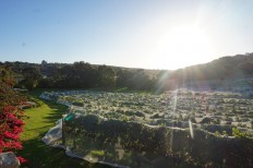 Margaret River area, Australia