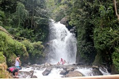 Curug Cipamingkis offers tourists fresh forest atmosphere