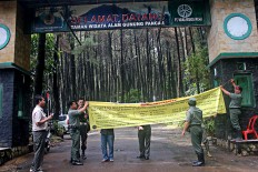 Graft main problem in forestry