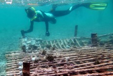 Study to challenge claim Indonesia second-biggest marine polluter 
