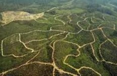 Land disputes still common, putting farmers' future in jeopardy