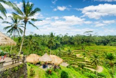 Bali ranked top 10 Asia Pacific destinations in total nights, money spent