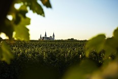 China is building a Disney World for wine