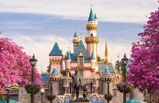 Massive Disneyland collections go up for auction in California