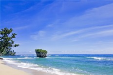 Winners of 2017 Morotai Underwater Photo Contest announced