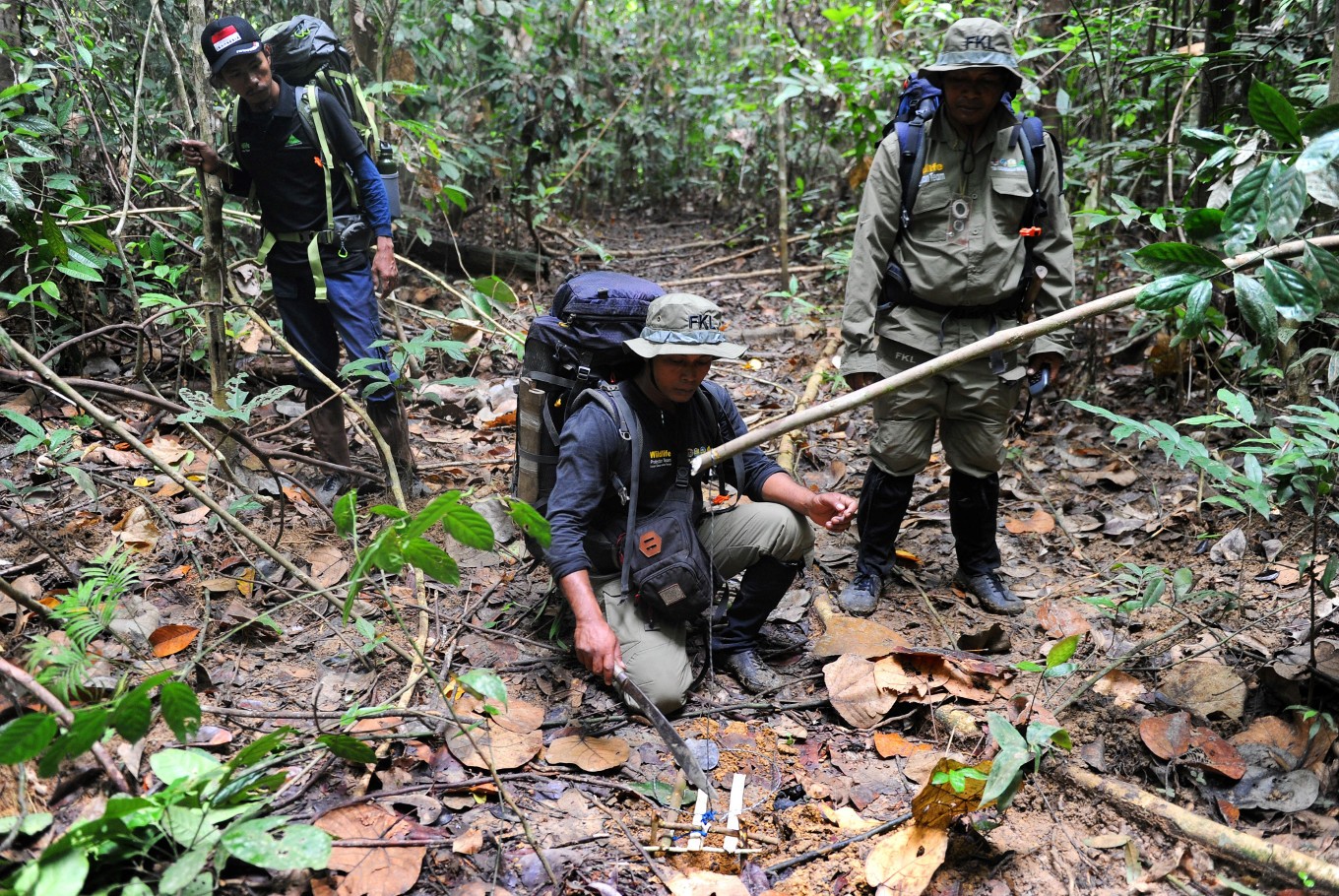 Tim FKL sedang merusak jerat yang dipasang pemburu. Foto: AFP/Chaideer Mahyuddin