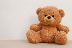 American wunderkind Reuben Paul, may be still only in 6th grade at his school in Austin, Texas, but he and his teddy bear Bob wowed hundreds at a timely cyber security conference in The Netherlands.