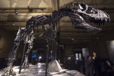 No bone could resist T. Rex's pulverizing bite 