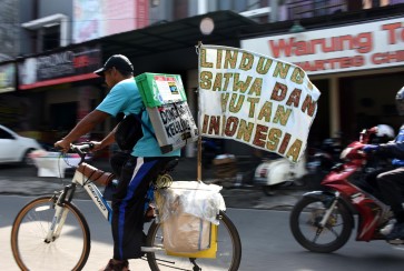 Conserving forests and animals through storytelling