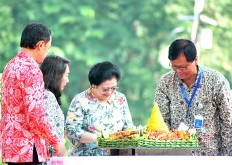 Bogor Botanical Garden last bastion for flora
