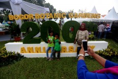 Oldest tree in Bogor Botanical Gardens falls down after heavy rains