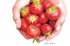 SHORT STORY: Strawberries
