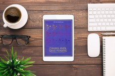 Cahaya Mata Sang Pewaris: Kisah Nyata Anak-Cucu Korban Tragedi ’65 (Glimmers in the eyes of the heirs: True stories from children and grandchildren of the ’65 tragedy) by Putu Oka Sukanta