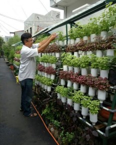 Grow your own: Urban farming flourishes in coronavirus lockdowns