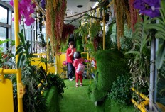 Taiwan's 'forest bus' charms passengers