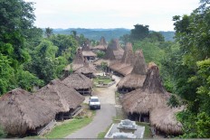 Exploring Sumba Island's natural and cultural riches