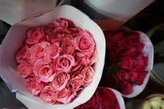 Jakpost guide to Rawa Belong