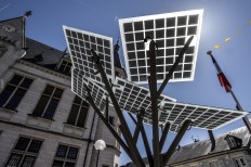 Europe's first eTree puts down roots in central France