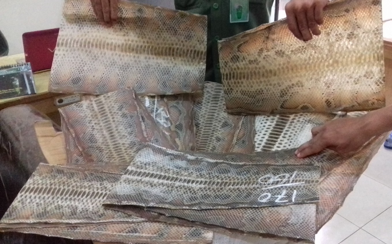 Illegal snake-skin trade thwarted in North Sumatra