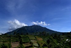 Sipping the 'wild coffee' of Lencoh village in Boyolali