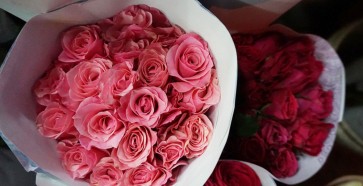 Jakpost guide to Rawa Belong