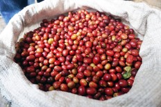 Flavorful journey into coffee provenance