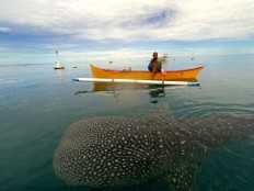 Five destinations to be developed into one geopark 