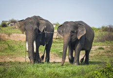 10 destinations to visit in Lampung