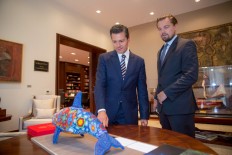 DiCaprio, Mexico in push to save vaquita porpoise
