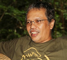 BOSF aims to release 200 orangutans by end of 2017