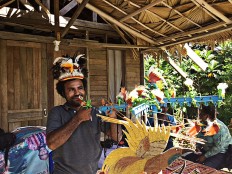 Papua bans hunting, trading of birds of paradise