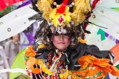 Pets strut the street catwalk of Jember Fashion Carnival