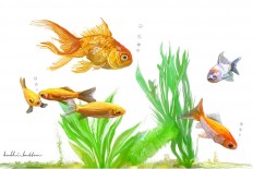 Short Story: An evolutionary history