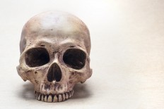 Bengkayang, West Kalimantan, to hold Nyobeng Sebujit ceremony