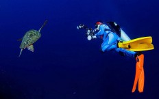 Indonesia promotes marine tourism in three Chinese cities