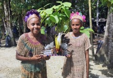 Commentary: Papuan women, youth remind us of second class citizens