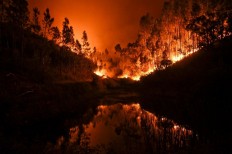 Raging Portugal forest fires kill dozens