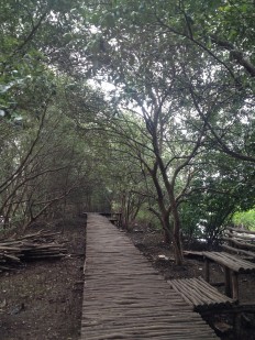 Visitors can walk through the dense mangrove vegetation in Pantai Indah Kapuk (pictured) or rent a boat to explore the forest by water. The Governor’s Team for Accelerated Development’s (TGUPP) coastal management committee has handed over recommendations for coastal area management, including opening more areas to the public.