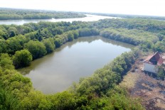Sidoarjo to turn mud wasteland into tourist attraction