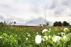 Month-old baby with hydrocephalus evacuated from Sinabung red zone