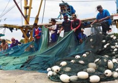 Government to distribute fishing equipment to replace 'cantrang'