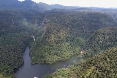 Greenwashing: The hydrodam and apes