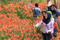 Poverty rate in Gunungkidul decreases as tourism rises